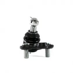 Rotula Inf Corolla 0918...