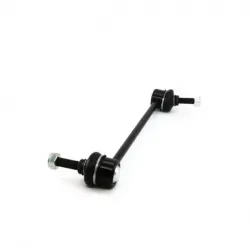 Tornillo Estab Del March1117Tiida 0618