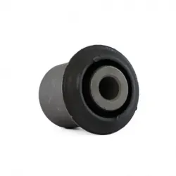 Bujes Inf Del Civic 0105...