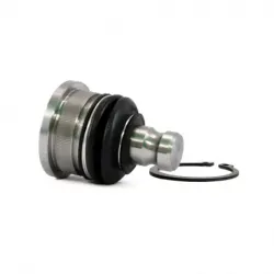 Rotula Inf Aprio 0711 Clio 0709 Clio