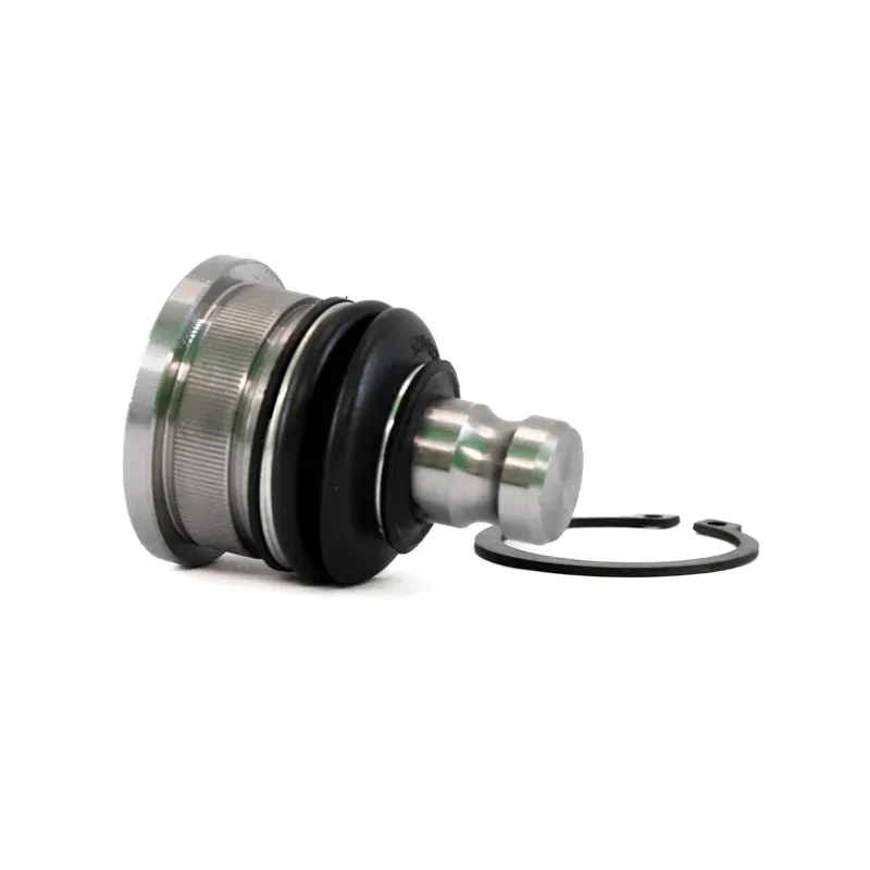 Rotula Inf Aprio 0711 Clio 0709 Clio