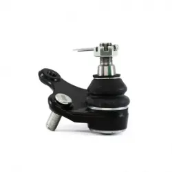 Rotula Inf Rav 4 0618