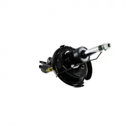 Amort Del Izq C30 0811...