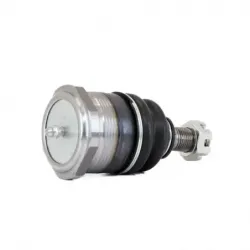 Rotula Sup B100 7078 B150 7904 B20