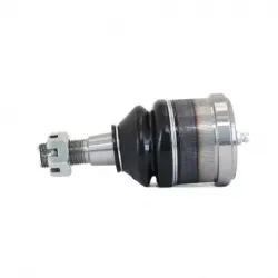 Rotula Inf C10 7378 C15 799