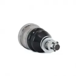 Rotula Inf C30 7178 C35 7991