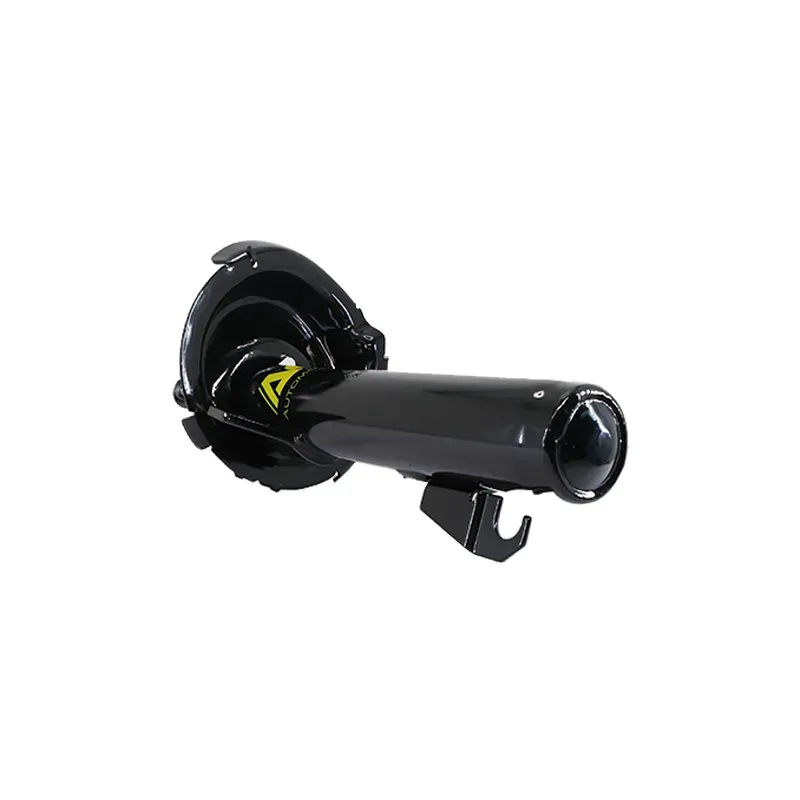 Amort DD Ford focus largo 0711