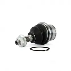 Rotula Inf Expedition 0717 Expedition