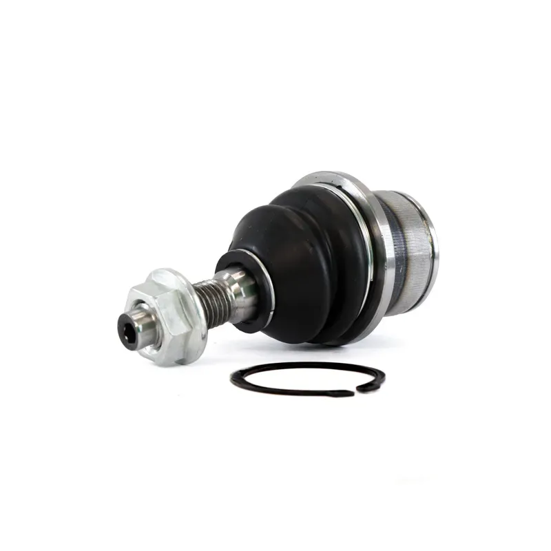 Rotula Inf Expedition 0717 Expedition