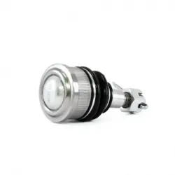 Rotula Inf Odyssey 9904