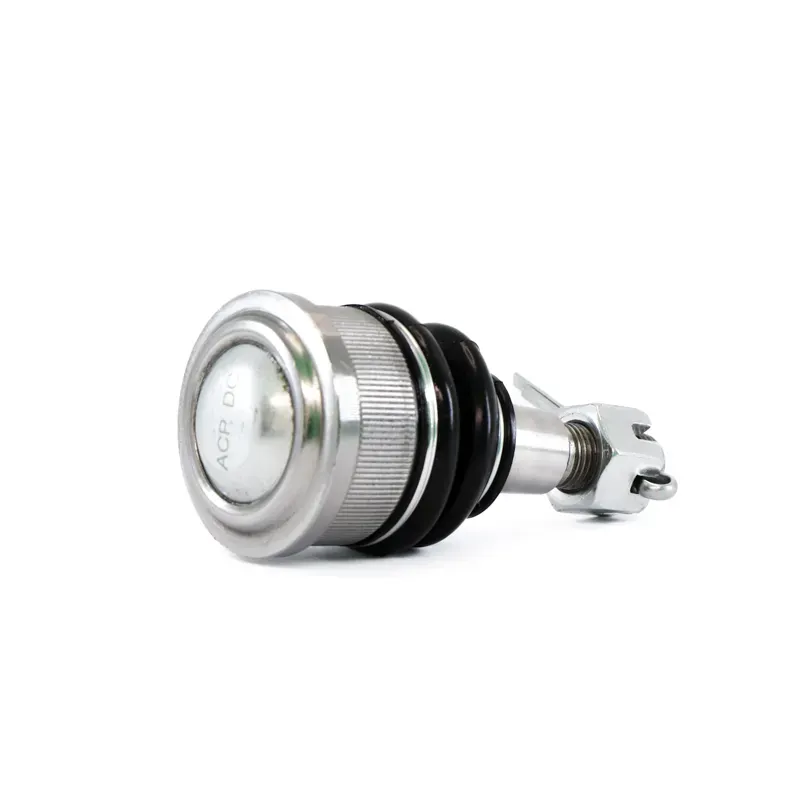 Rotula Inf Odyssey 9904