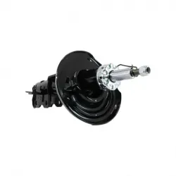 Amort Del Der Safrane 1215