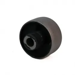 Bujes Inf Tras Civic 0105...