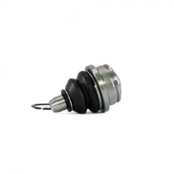 Rotula Inf Beat 1819 Spark 1115