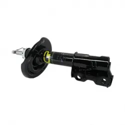 Amort Del Der Safrane 1215