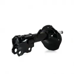 Amortiguador del para...