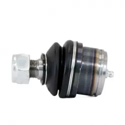 Rotula Inf Blazer 7091 C10...