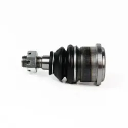 Rotula Inf Sable 9606...