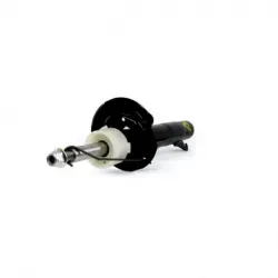 Amort Del Der Fiesta Ikon 1214