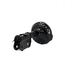 Amortiguador Del Der...