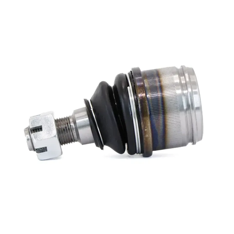 P Rotula Inf Excur2on 9906 F250 99