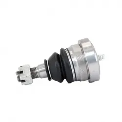 Rotula Inf Mustang 9495