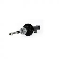 Amort Del Montero Sport 0813