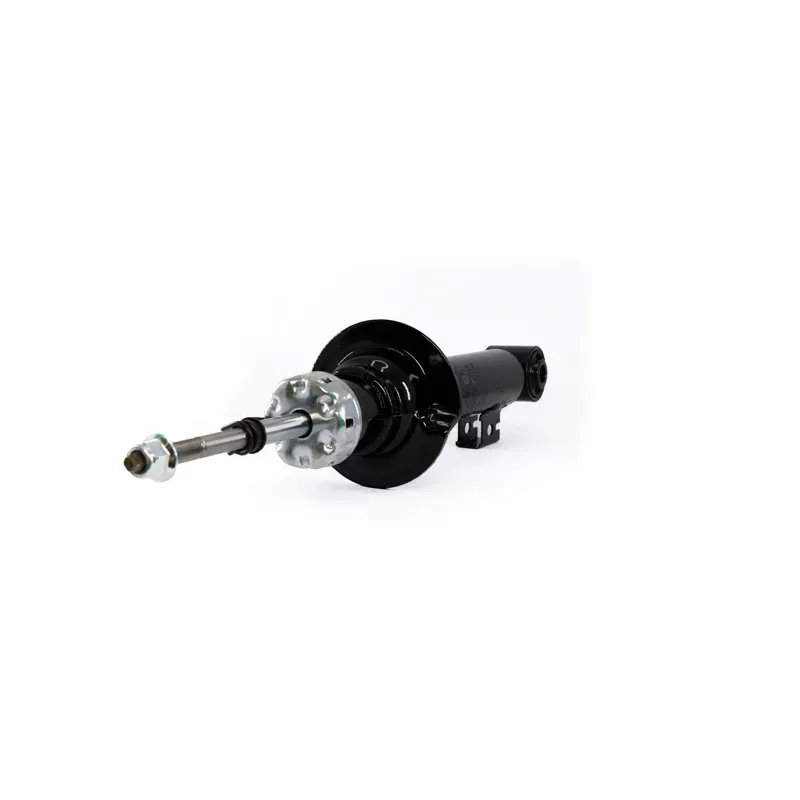 Amort Del Montero Sport 0813