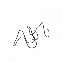 Seguro de araña para rodillo std  por