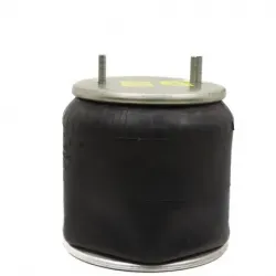 Bolsa de aire susp Hendrickson