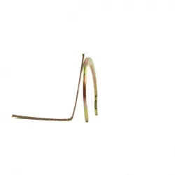 Seguro gavilan rkw refmedia luna de