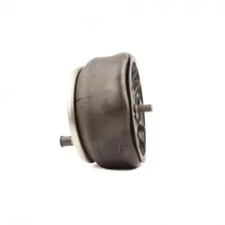 Bolsa de aire p susp Hendrickson