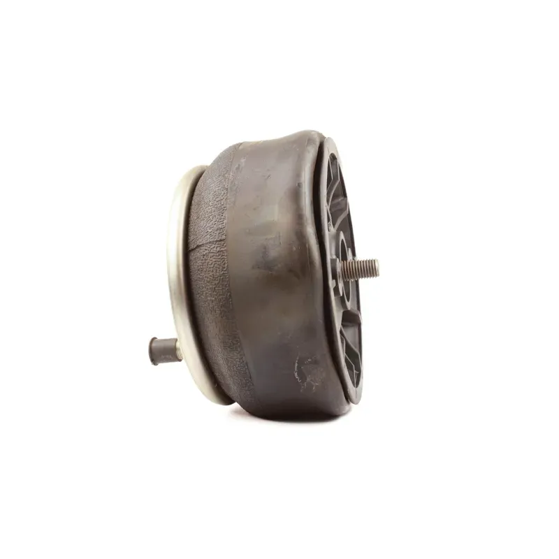 Bolsa de aire p susp Hendrickson