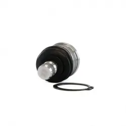 Rotula Inf March 1117 Versa 1218