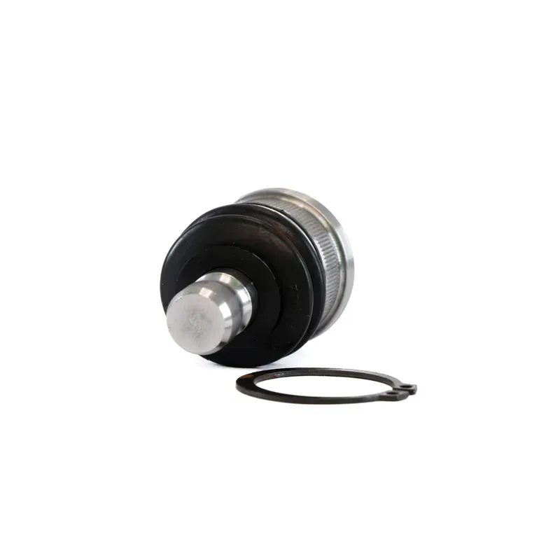 Rotula Inf March 1117 Versa 1218