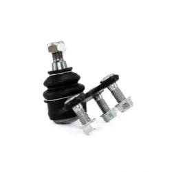 Rotula Inf Izq A1 1118 Ibiza 0918