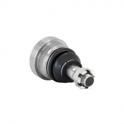 Rotula Inf Mustang 9495