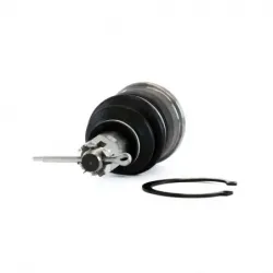 Rotula Inf TL 0408 TSX 0408 Accord 03