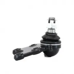 Rotula Inf Canyon 4x2 0415