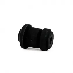 Bujes Inf Del Focus 0006