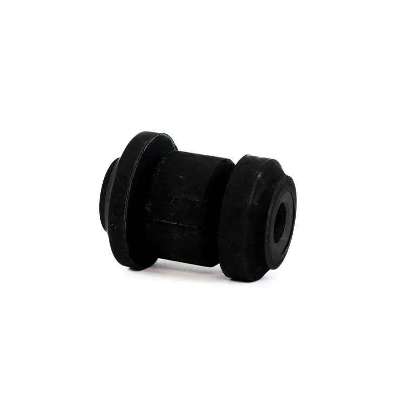 Bujes Inf Del Focus 0006