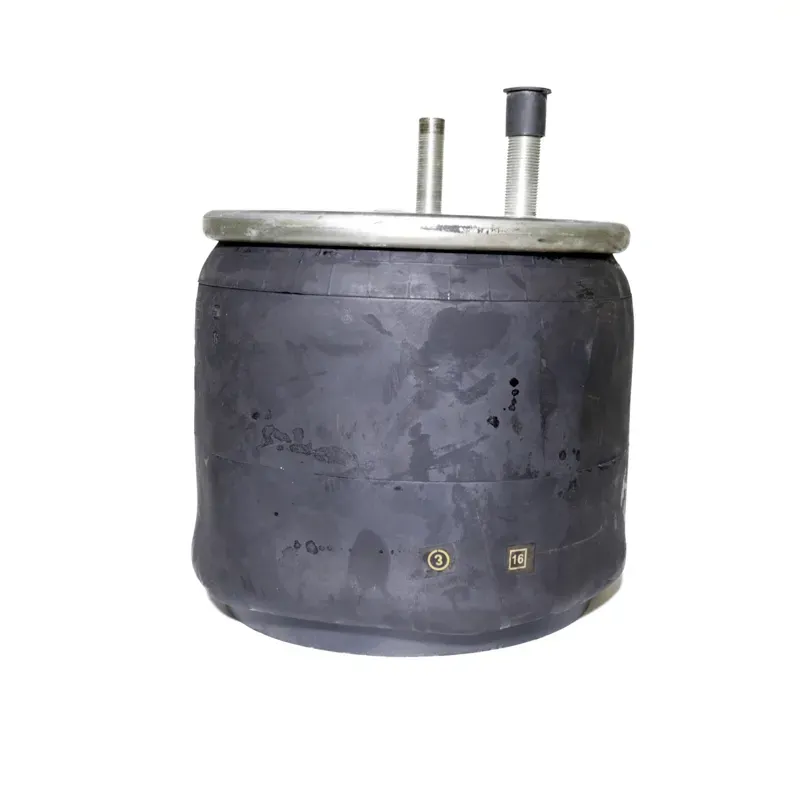 Bolsa de aire hendrickson  s22948