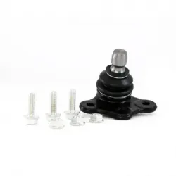 Rotula Inf Astra 0009...