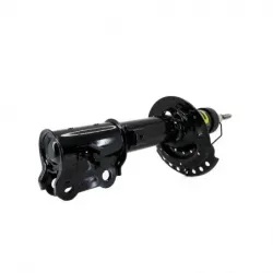 Amort DD Kia RIO 1217