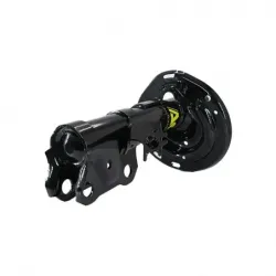 Amort DI Toyota Camry se 1217