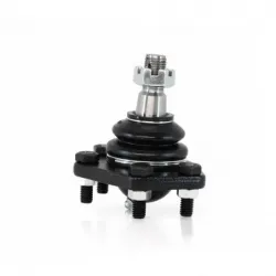 Rotula Inf Blazer 8404 Bravada 9101