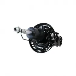 Amort DD seltos 2021