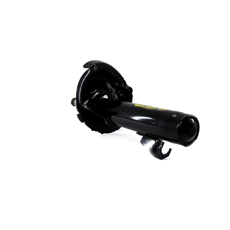 Amort Del Der C30 0811 Focus 0711