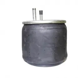 Bolsa de aire hendrickson  s22948