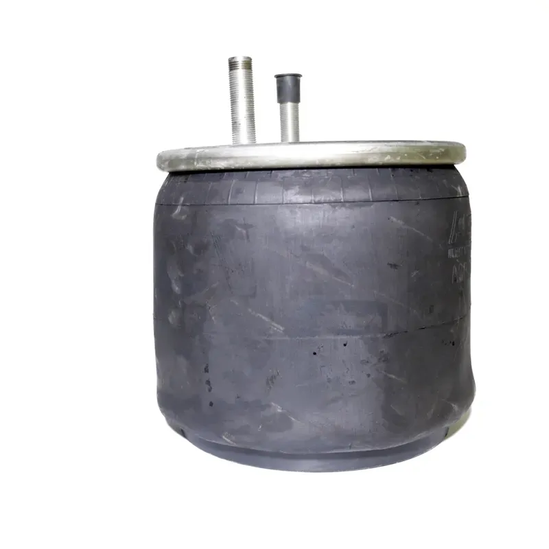 Bolsa de aire hendrickson  s22948